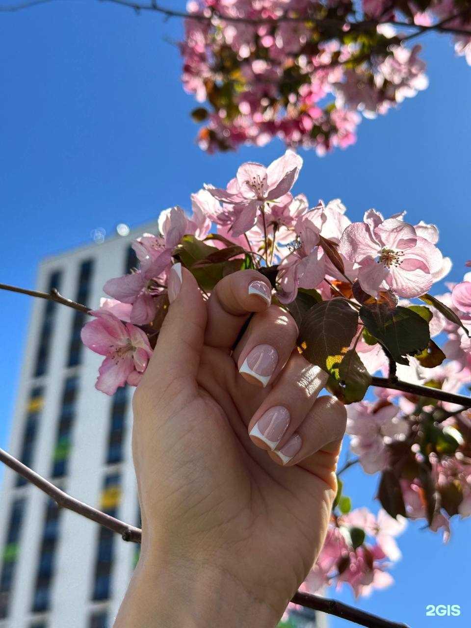 Отзывы на компанию ProNail в г. Уфа c фото