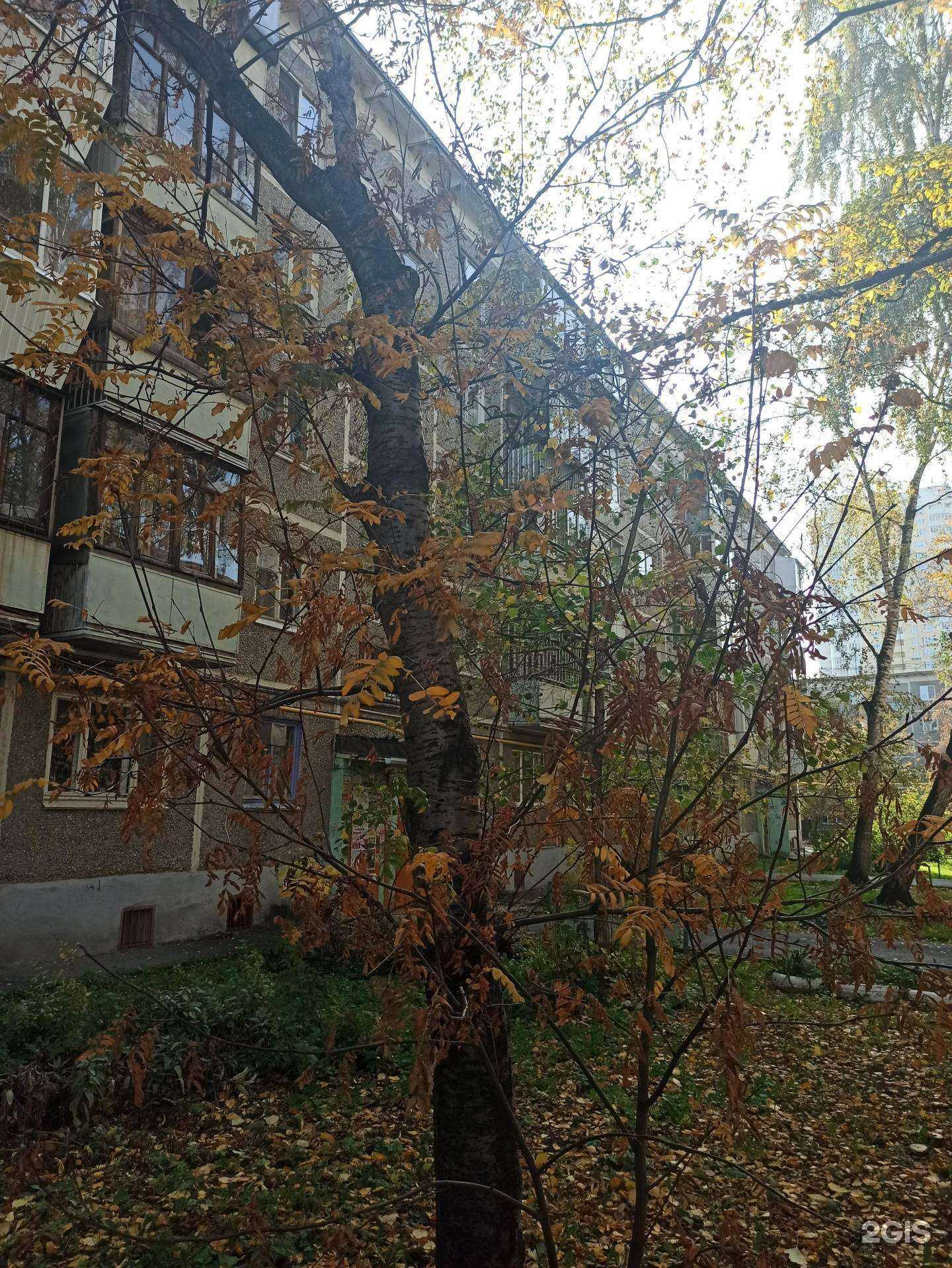 Отзывы на компанию АвтоВираж в г. Екатеринбург c фото