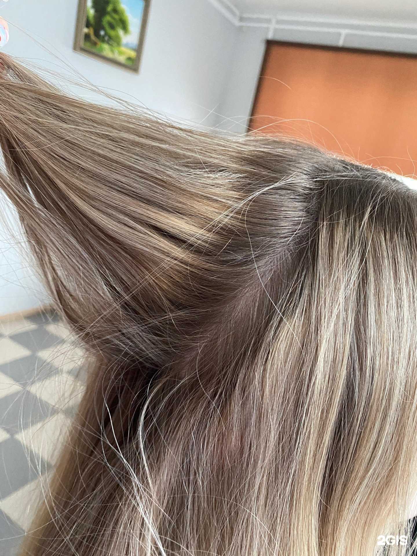 Отзывы на компанию Bravo в Омске c фото