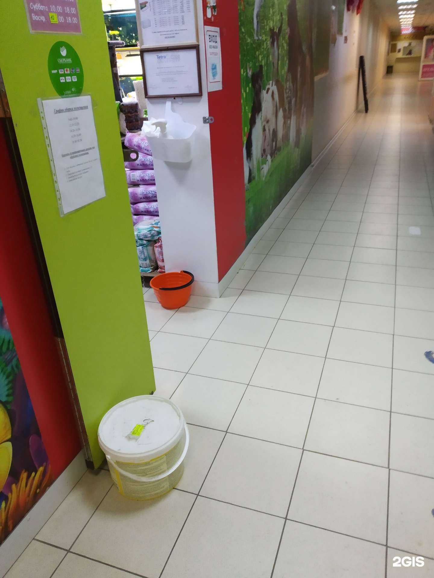 Отзывы на компанию Осьминожка в Тамбове c фото