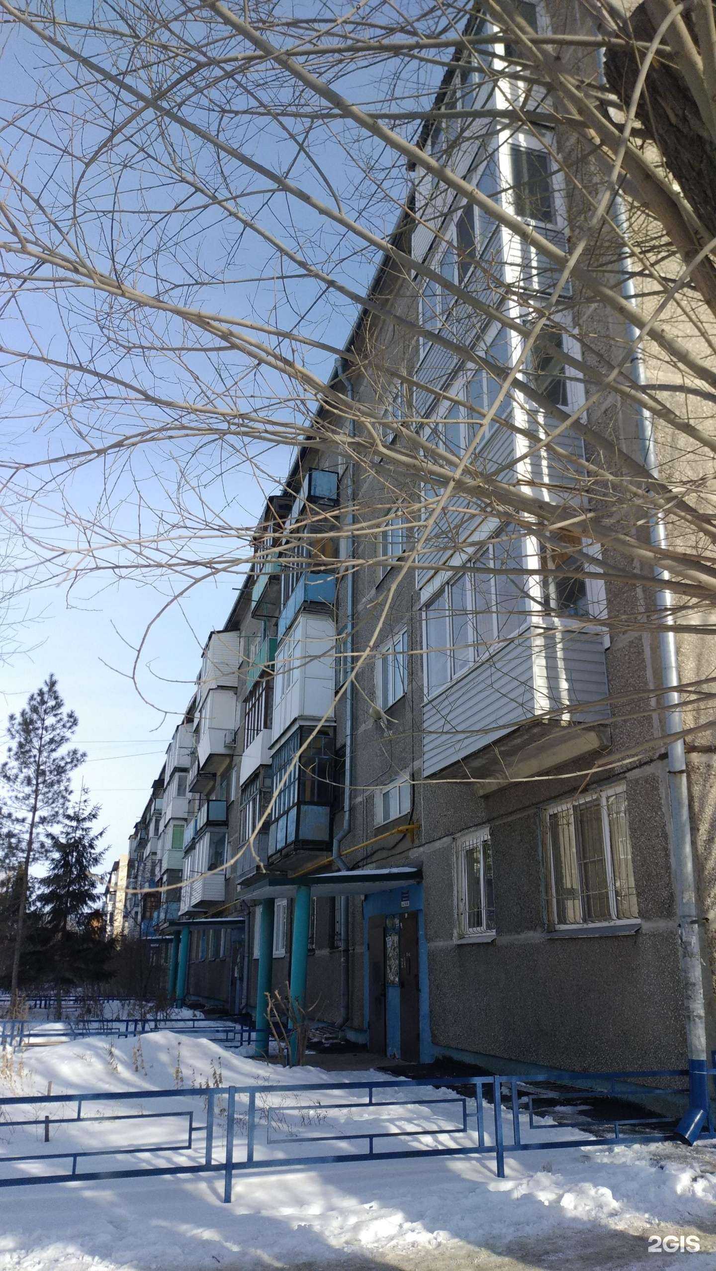 Отзывы на компанию Котопёс в Омске c фото - фотография 2 из 2