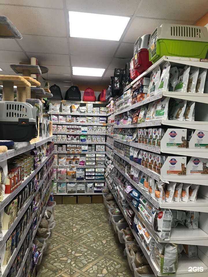 Отзывы на компанию Мир хвостатых в Перми c фото