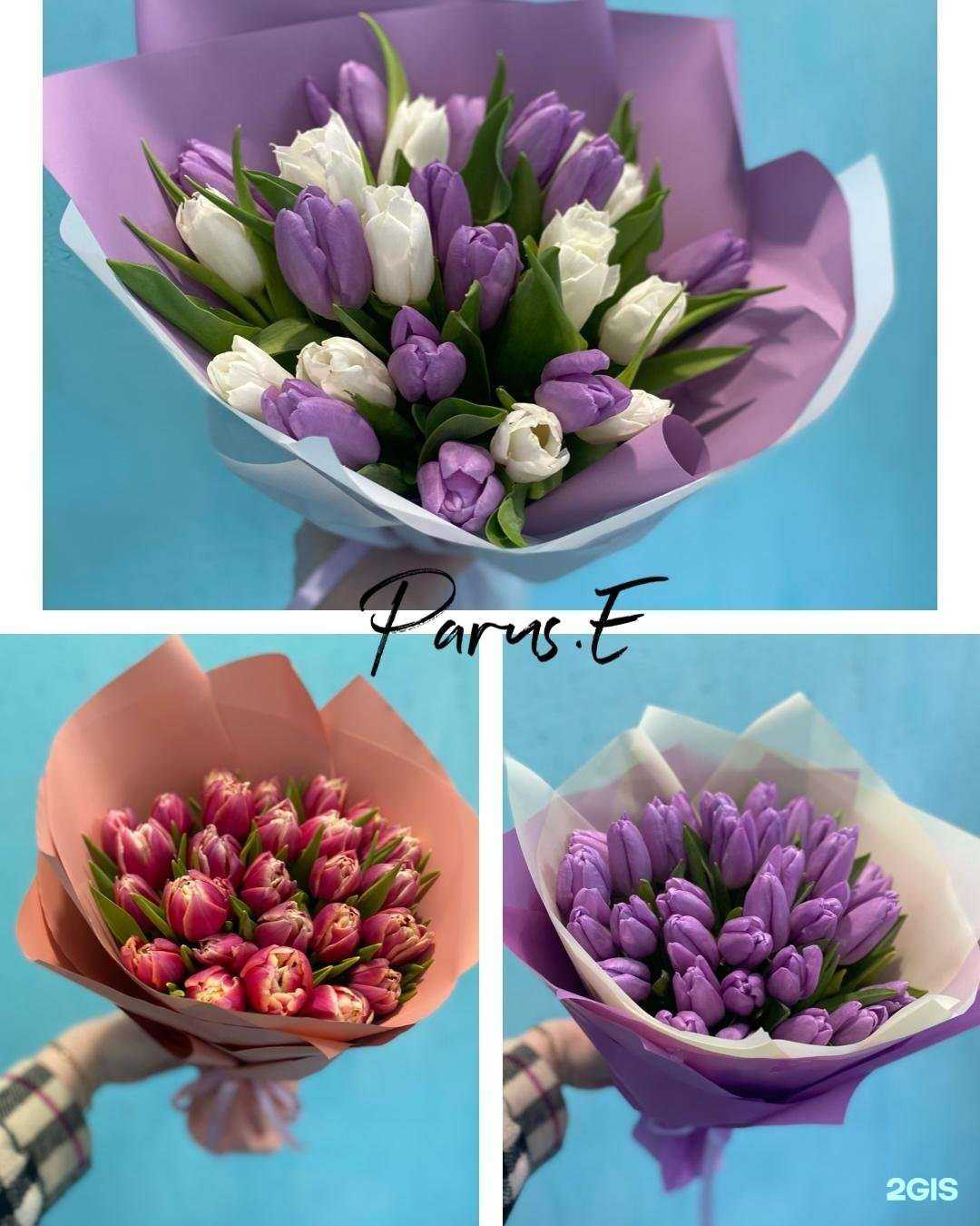 Отзывы на компанию Parus.E. в Тюмени c фото