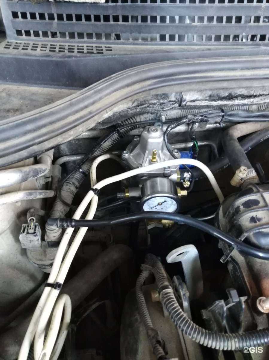 Отзывы на компанию Pigas в Ярославле c фото