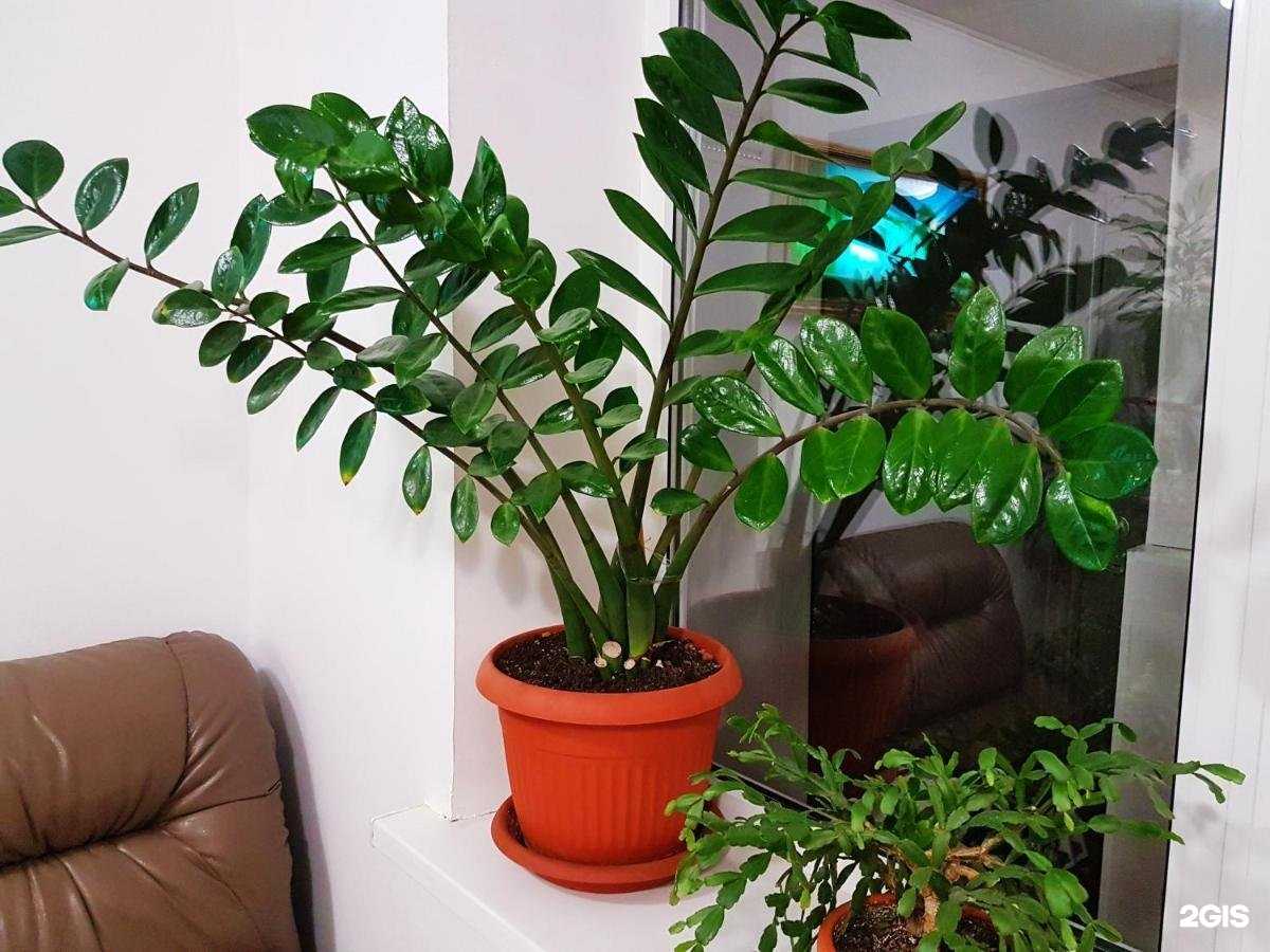 Отзывы на компанию Уют в Курске c фото