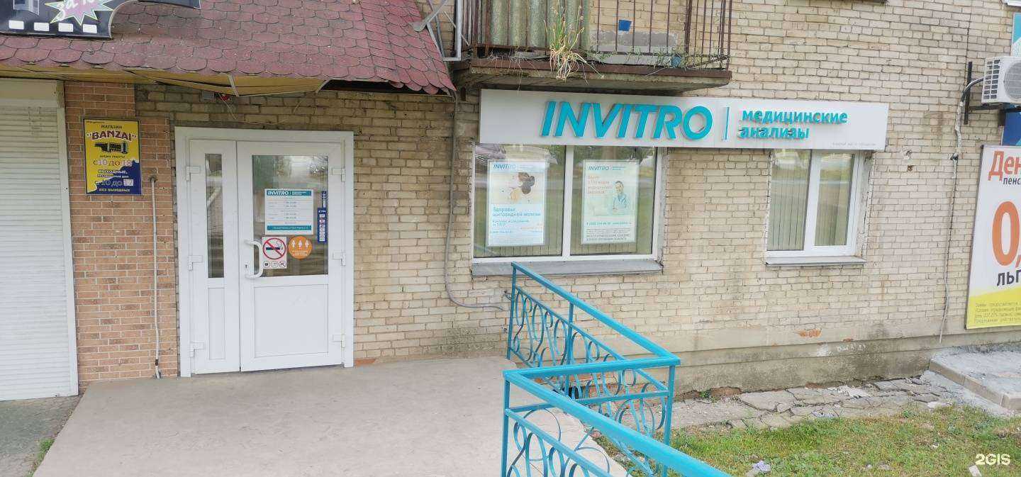 Отзывы на компанию Invitro в Большое Камени c фото