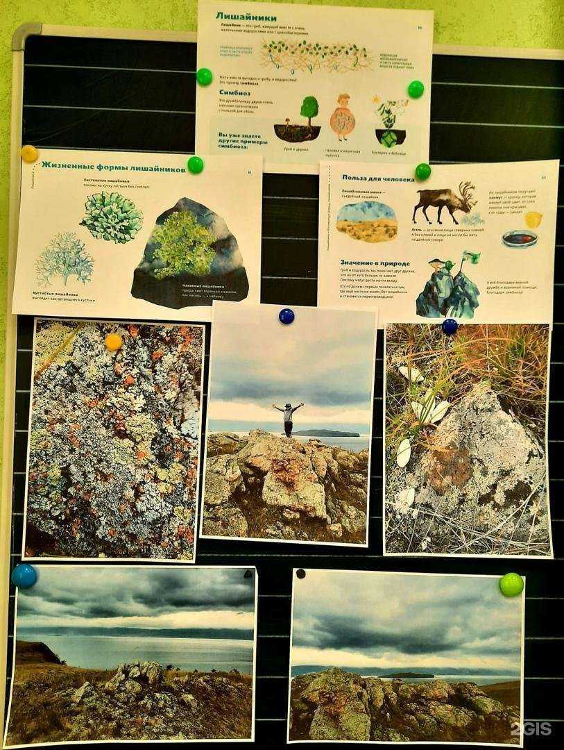 Отзывы на компанию Зеленая школа в г. Омск c фото