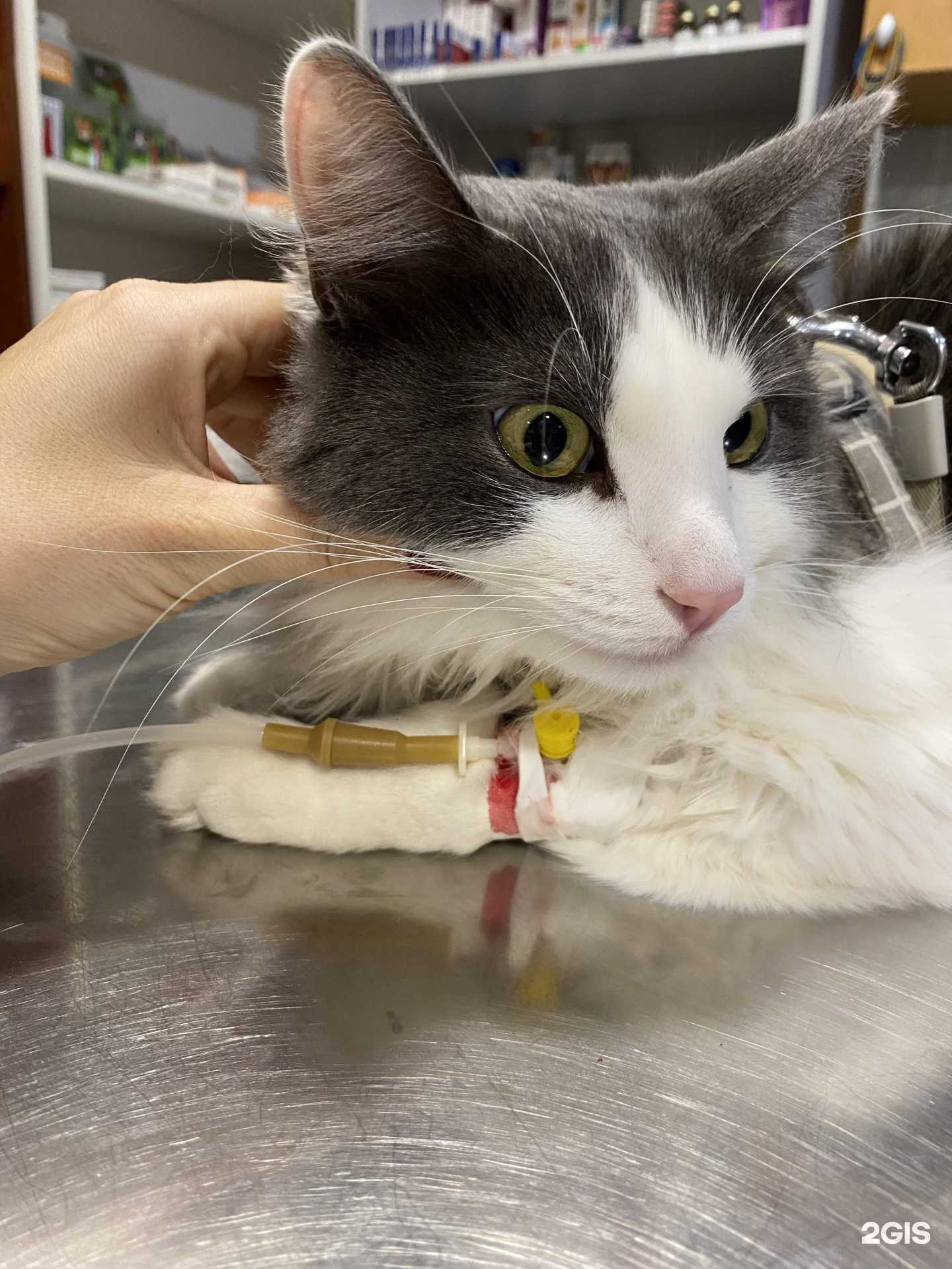 Отзывы на компанию Мурвет в Казани c фото