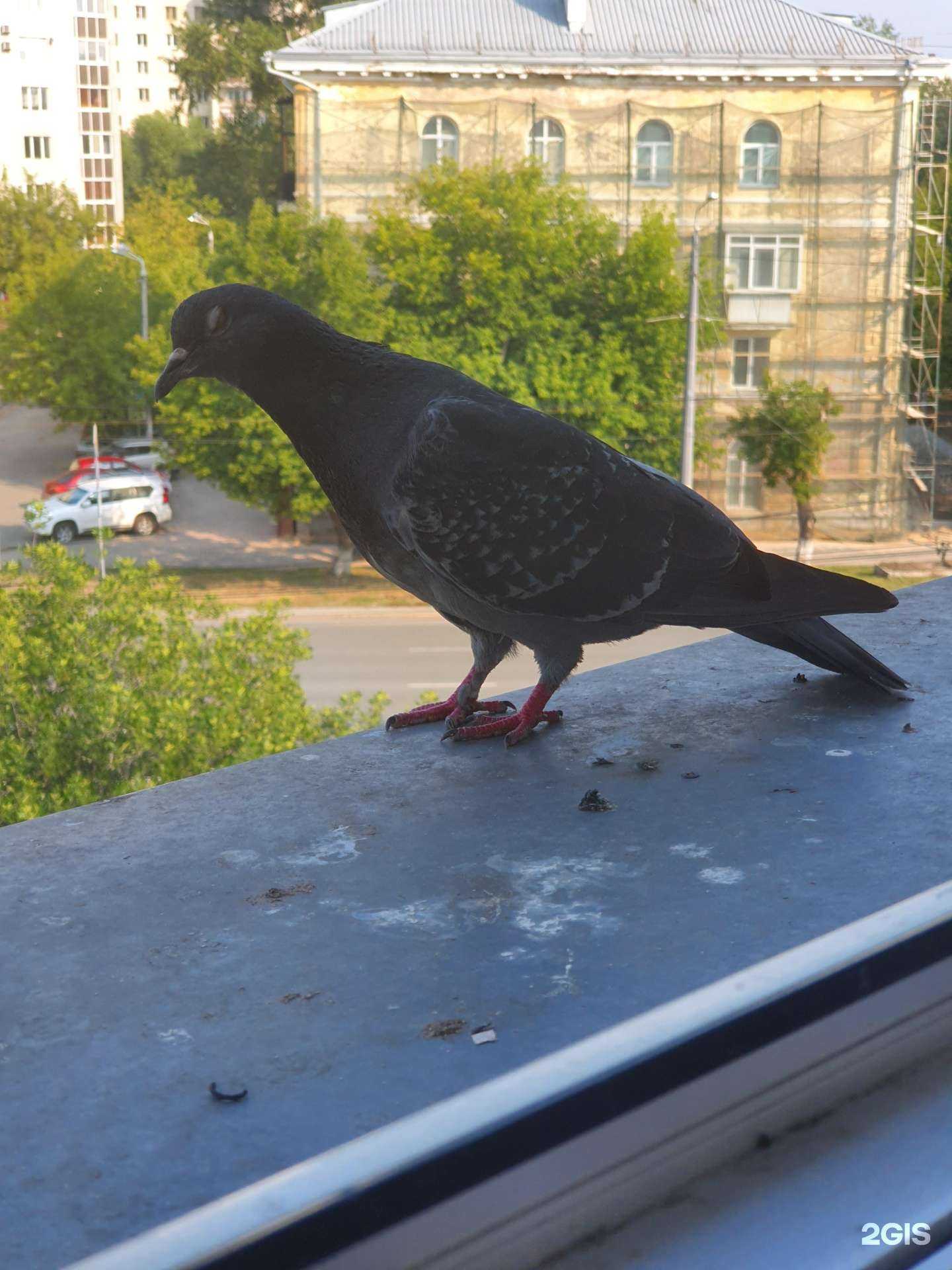 Отзывы на компанию Наш эксперт в Челябинске c фото - фотография 2 из 2