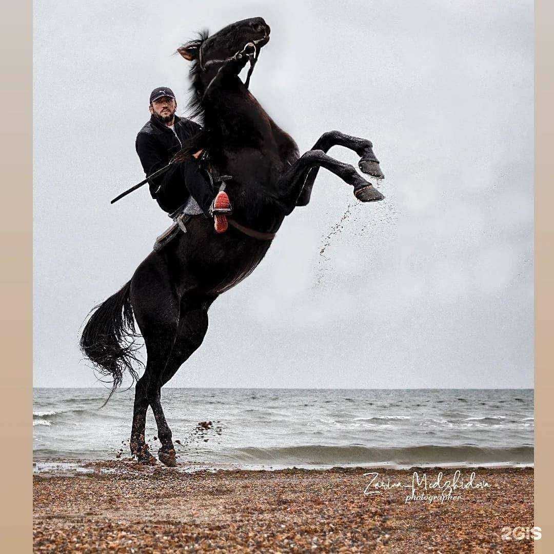 Отзывы на компанию Конный тур Дербент в г. Дербент c фото