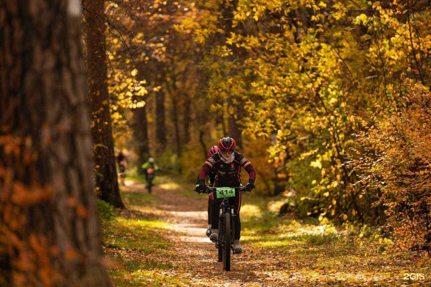 Отзывы на компанию Спринт в г. Екатеринбург c фото