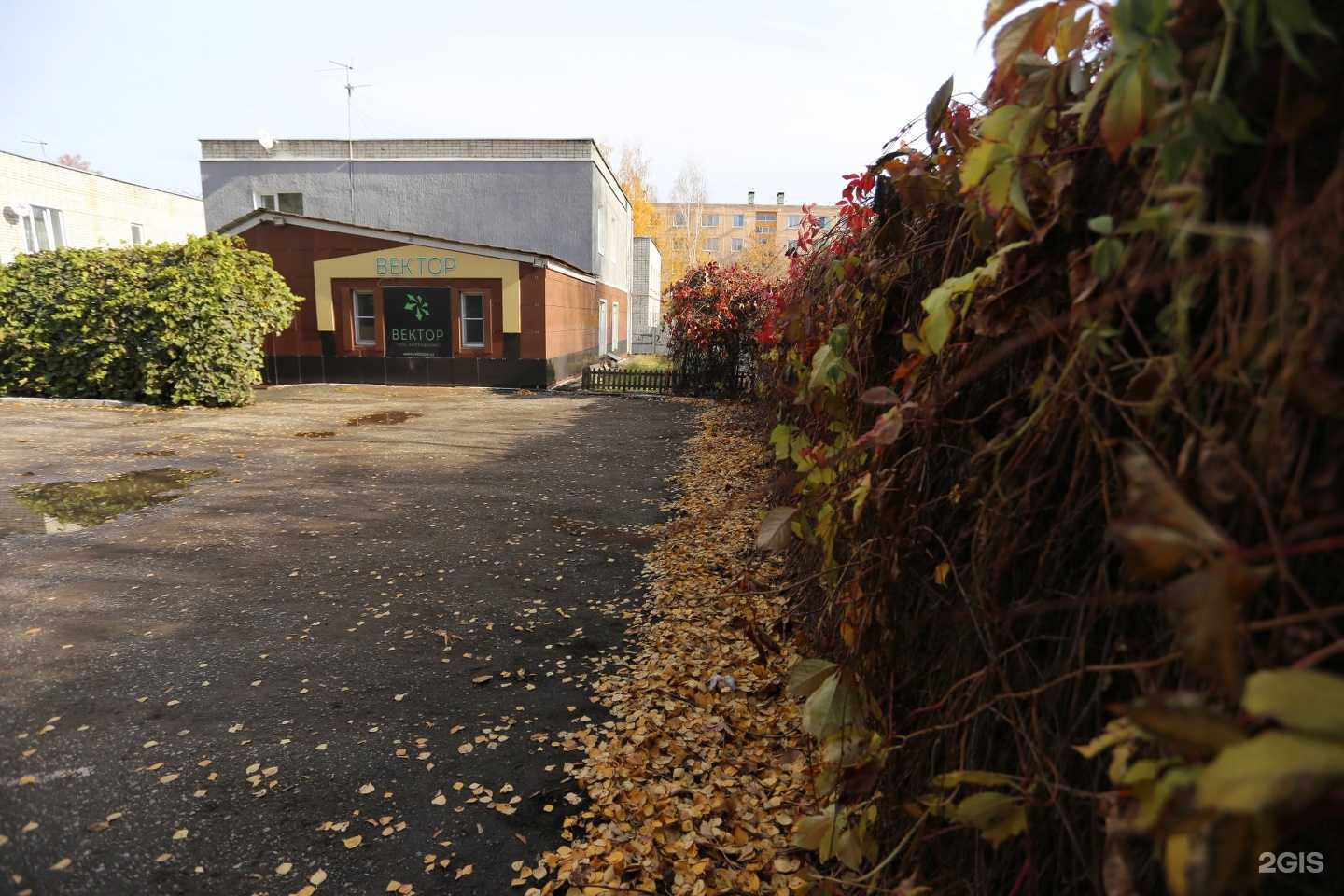 Отзывы на компанию Вектор в Саранске c фото