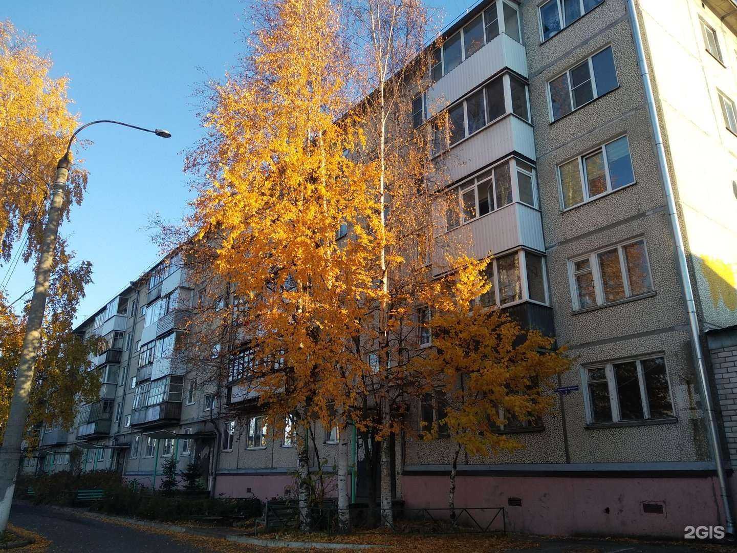 Отзывы на компанию Вита Норд в Архангельске c фото - фотография 2 из 2