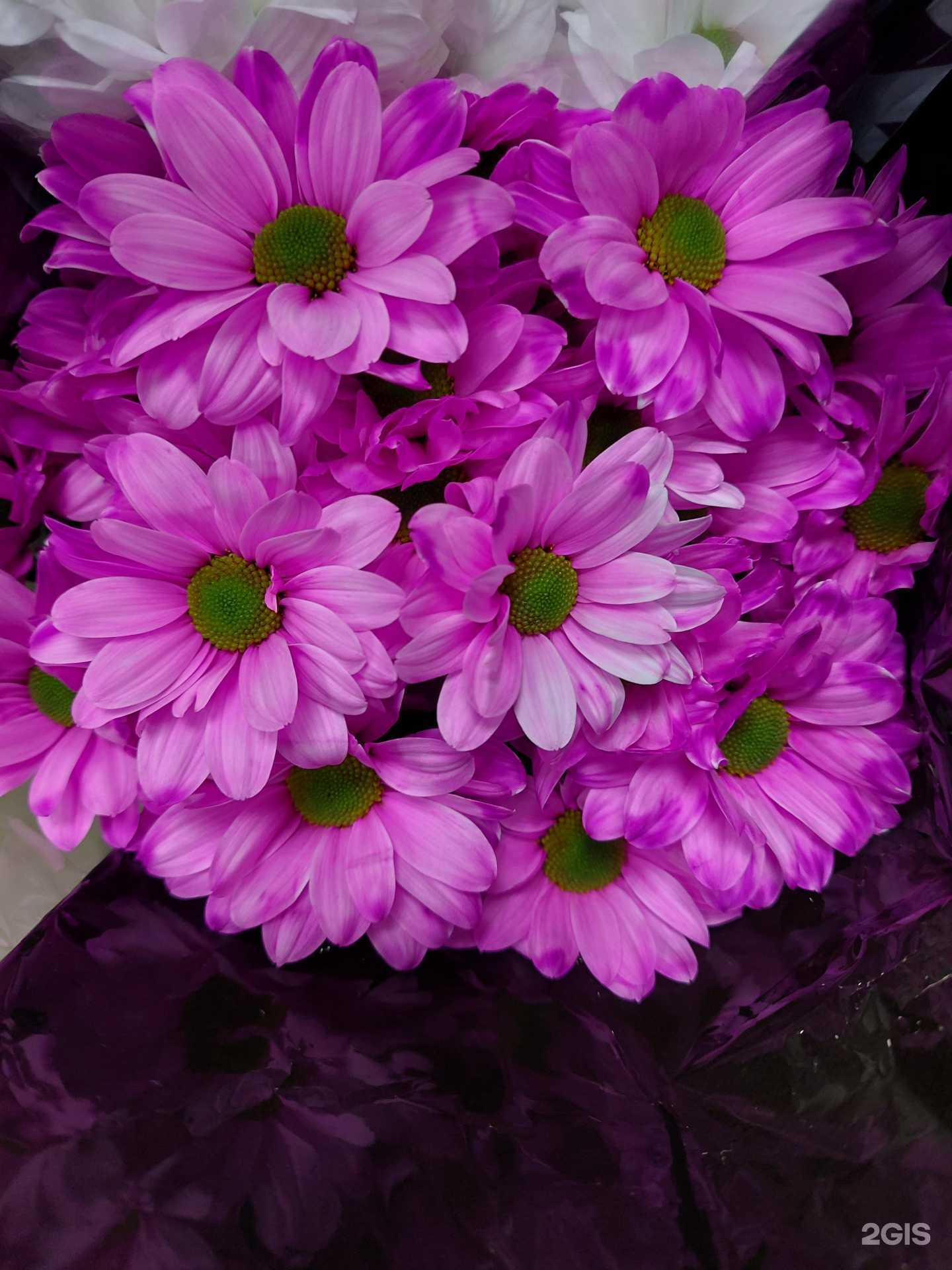 Отзывы на компанию Мир цветов в г. Чебаркуль c фото