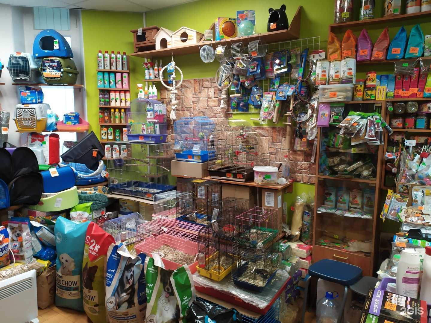 Отзывы на компанию Зоомир в г. Псков c фото