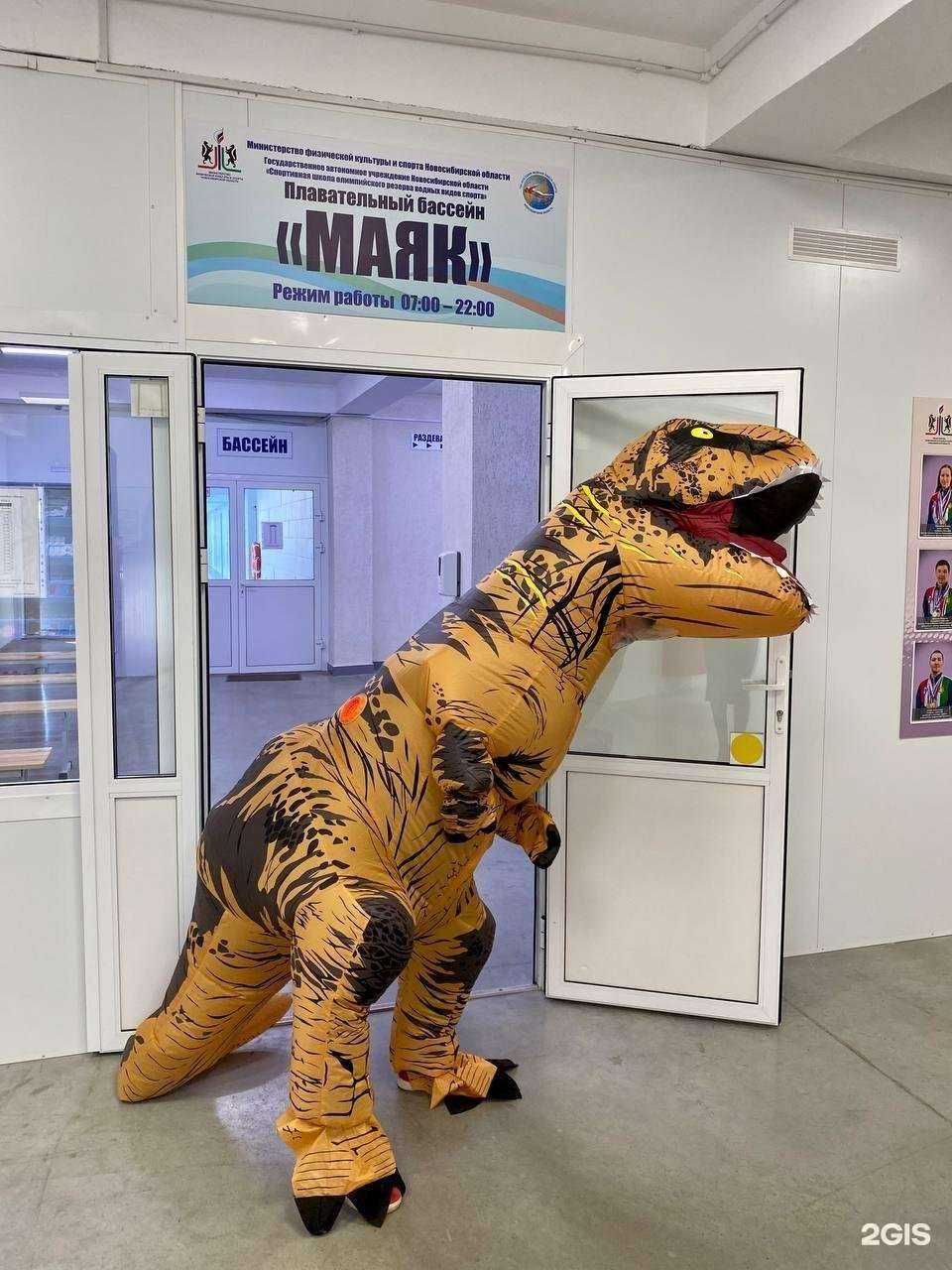 Отзывы на компанию Маяк в г. Новосибирск c фото