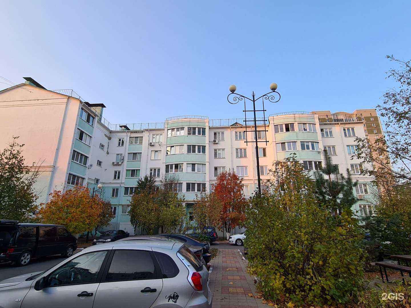 Отзывы на компанию Пальма в Белгороде c фото - фотография 2 из 2