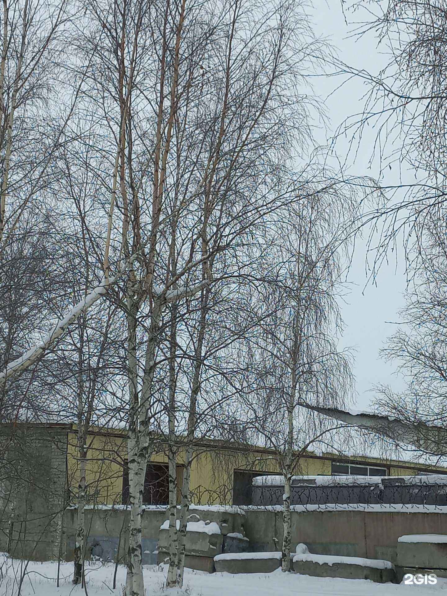 Отзывы на компанию Сид в Нижневартовске c фото