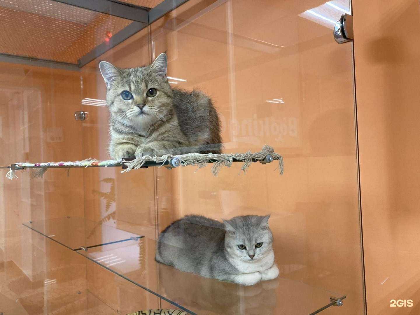 Отзывы на компанию Совсем как дома в Сургуте c фото