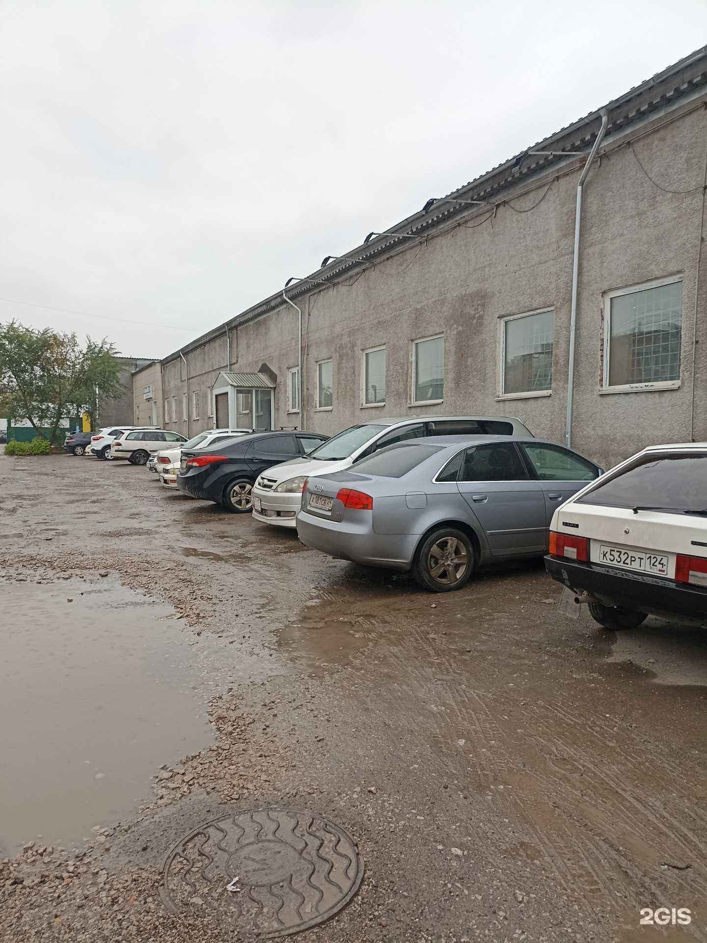 Отзывы на компанию НикаВет в Красноярске c фото - фотография 2 из 2