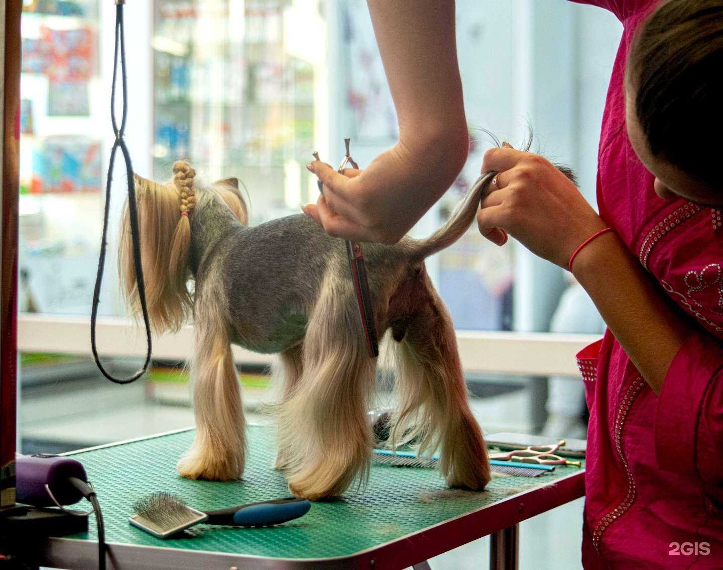 Отзывы на компанию Милорд в Магнитогорске c фото