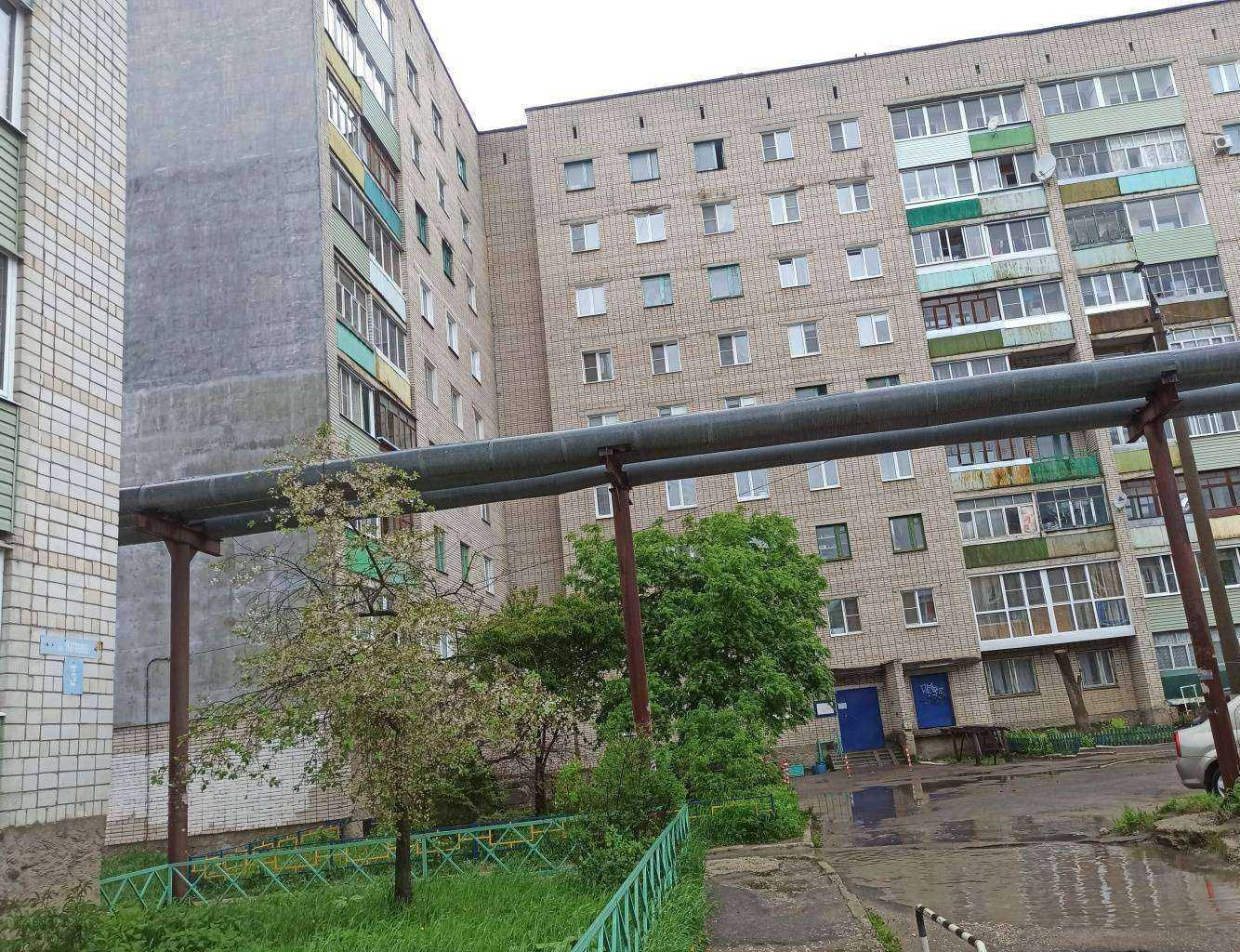 Отзывы на компанию Кенгуру в Коврове c фото - фотография 2 из 2