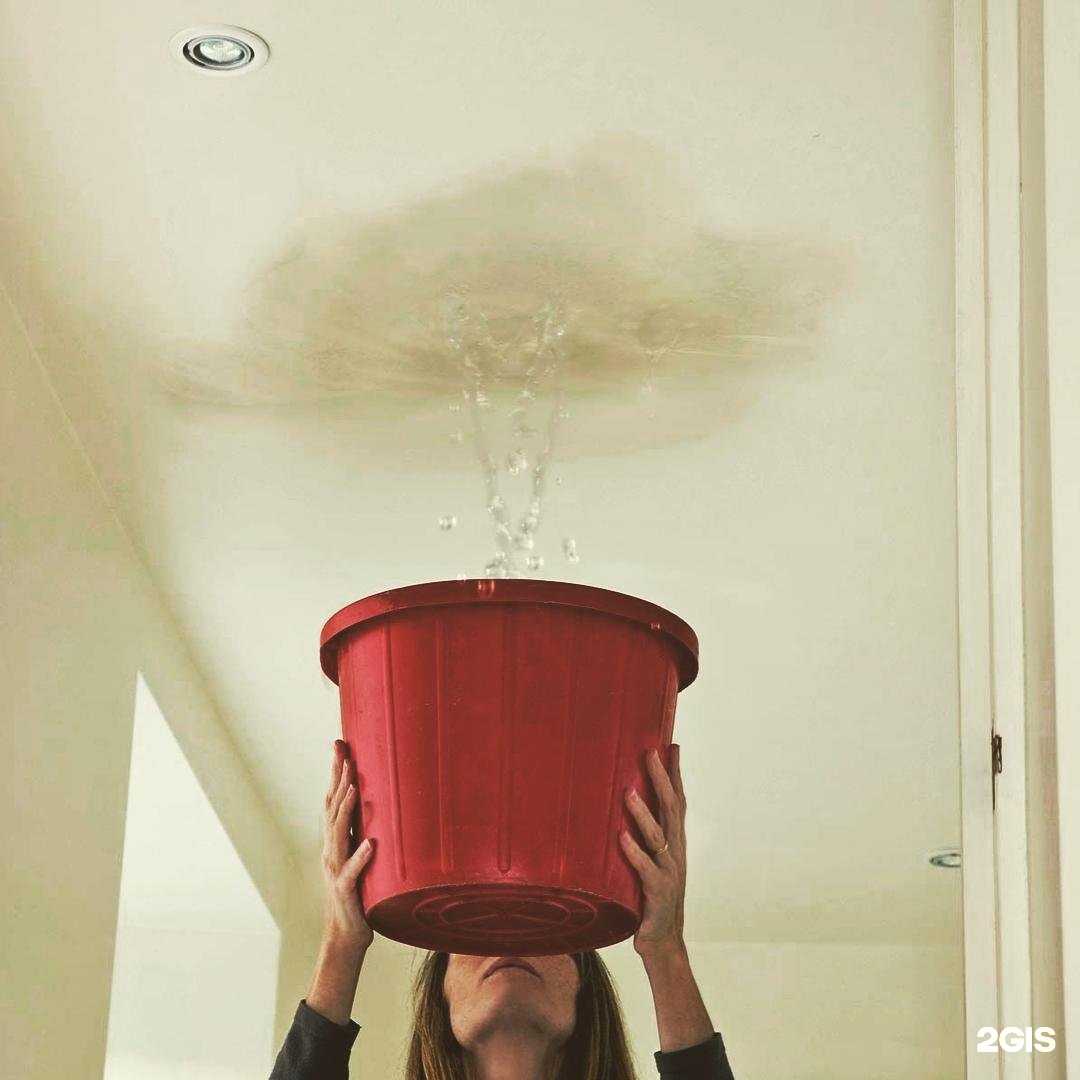 Отзывы на компанию Камчатэксперт в г. Петропавловск-Камчатский c фото