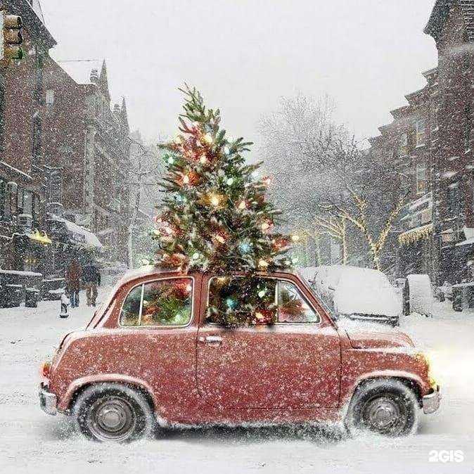 Отзывы на компанию Страховка+ в Воронеже c фото