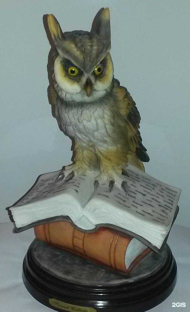 Отзывы на компанию Коап в г. Калининград c фото