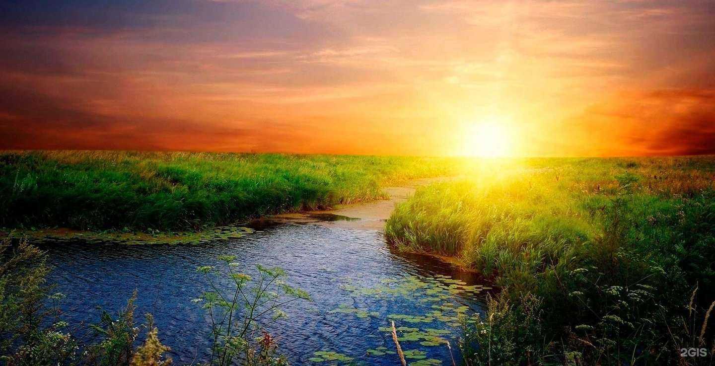 Отзывы на компанию Выздоровление в Красноярске c фото