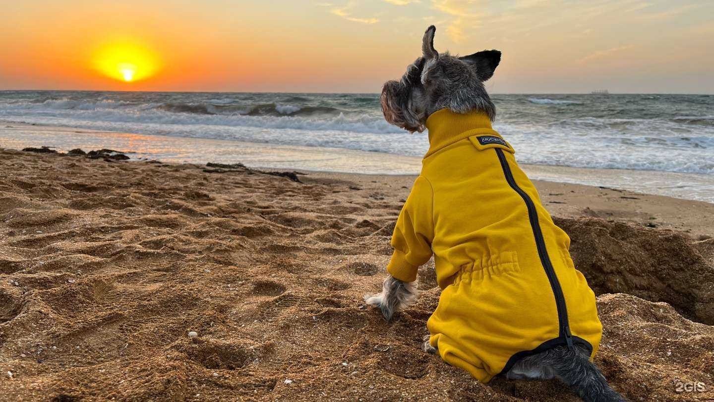 Отзывы на компанию Люсинда в Ставрополе c фото