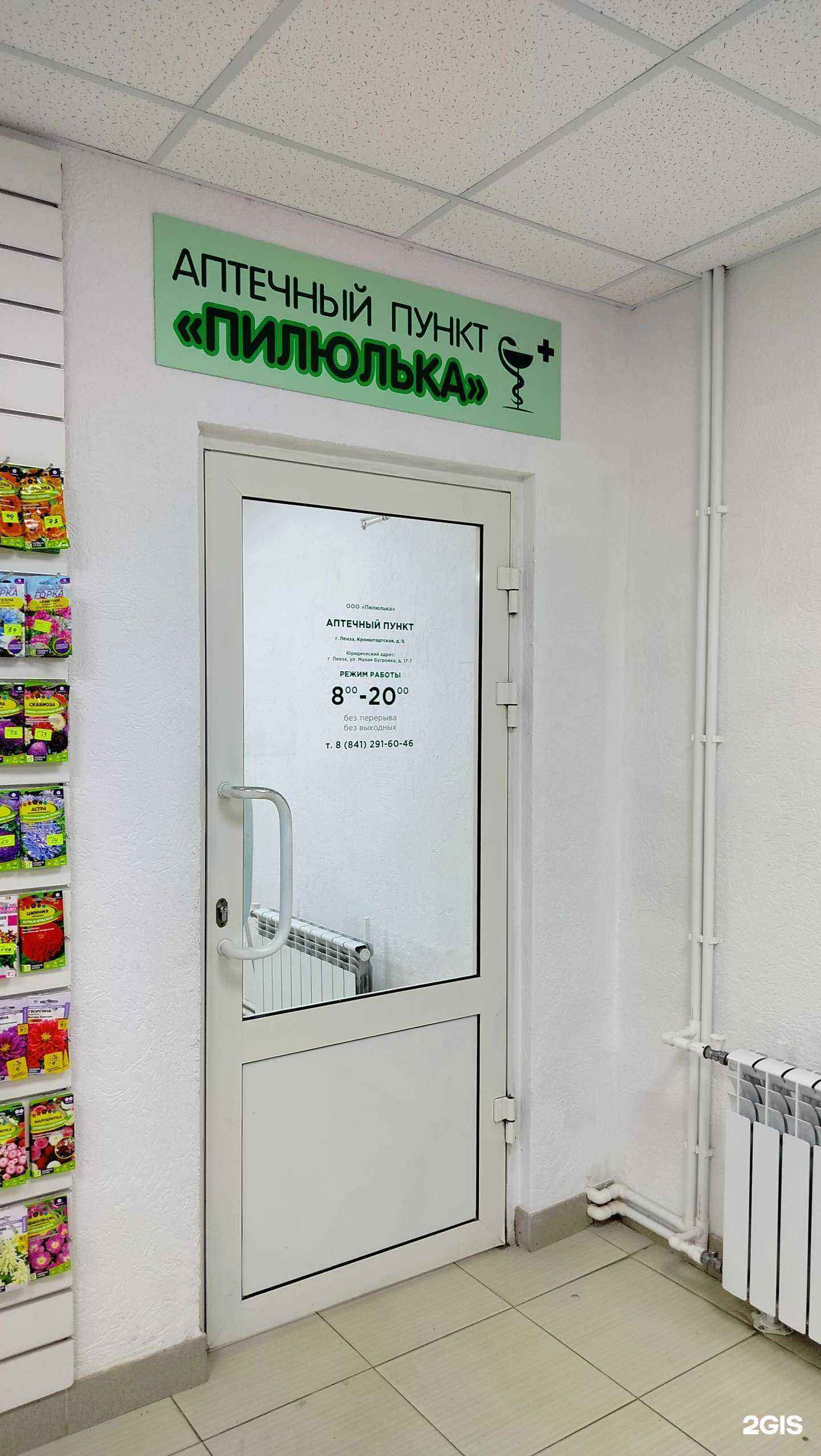 Отзывы на компанию Пилюлька в Пензе c фото