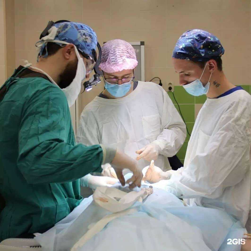 Отзывы на компанию Любимый доктор в г. Пермь c фото