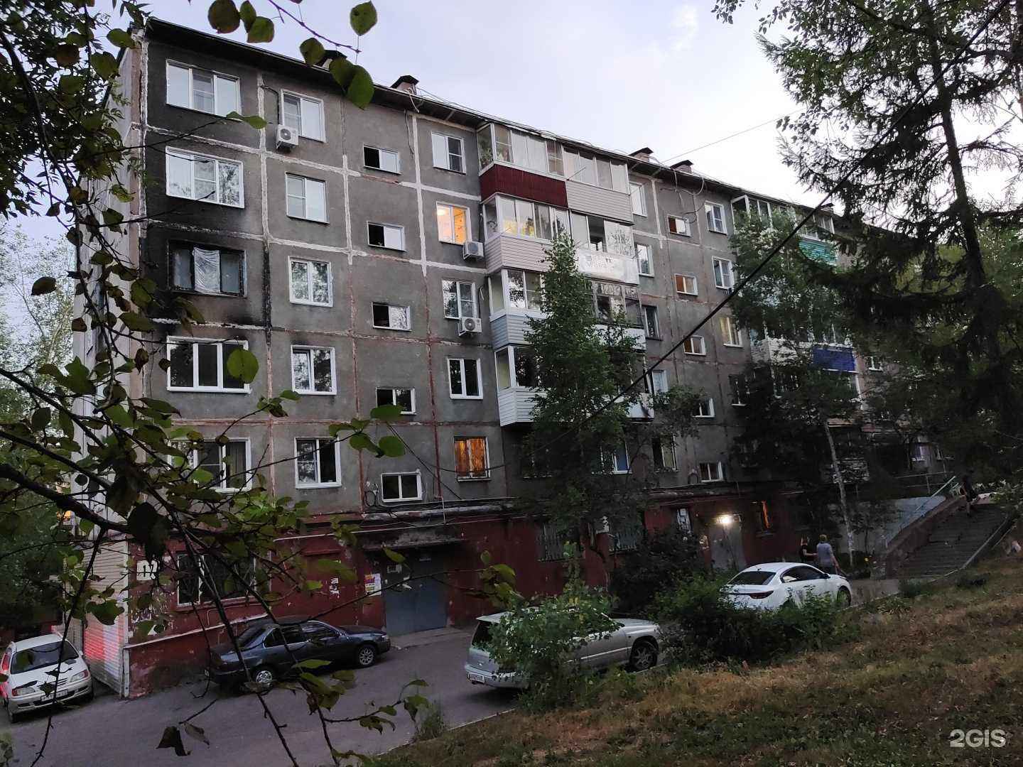 Отзывы на компанию Пес и Кот в Хабаровске c фото - фотография 2 из 2