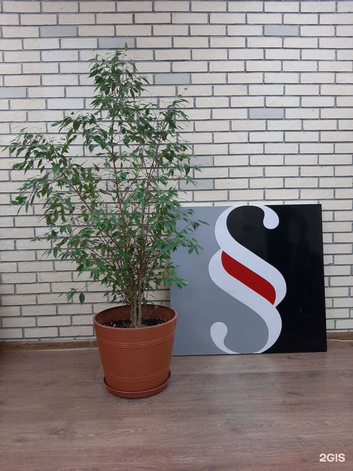 Отзывы на компанию А.Конкорд в г. Красноярск c фото