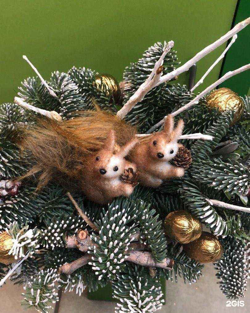 Отзывы на компанию Анютины глазки в г. Балашиха c фото