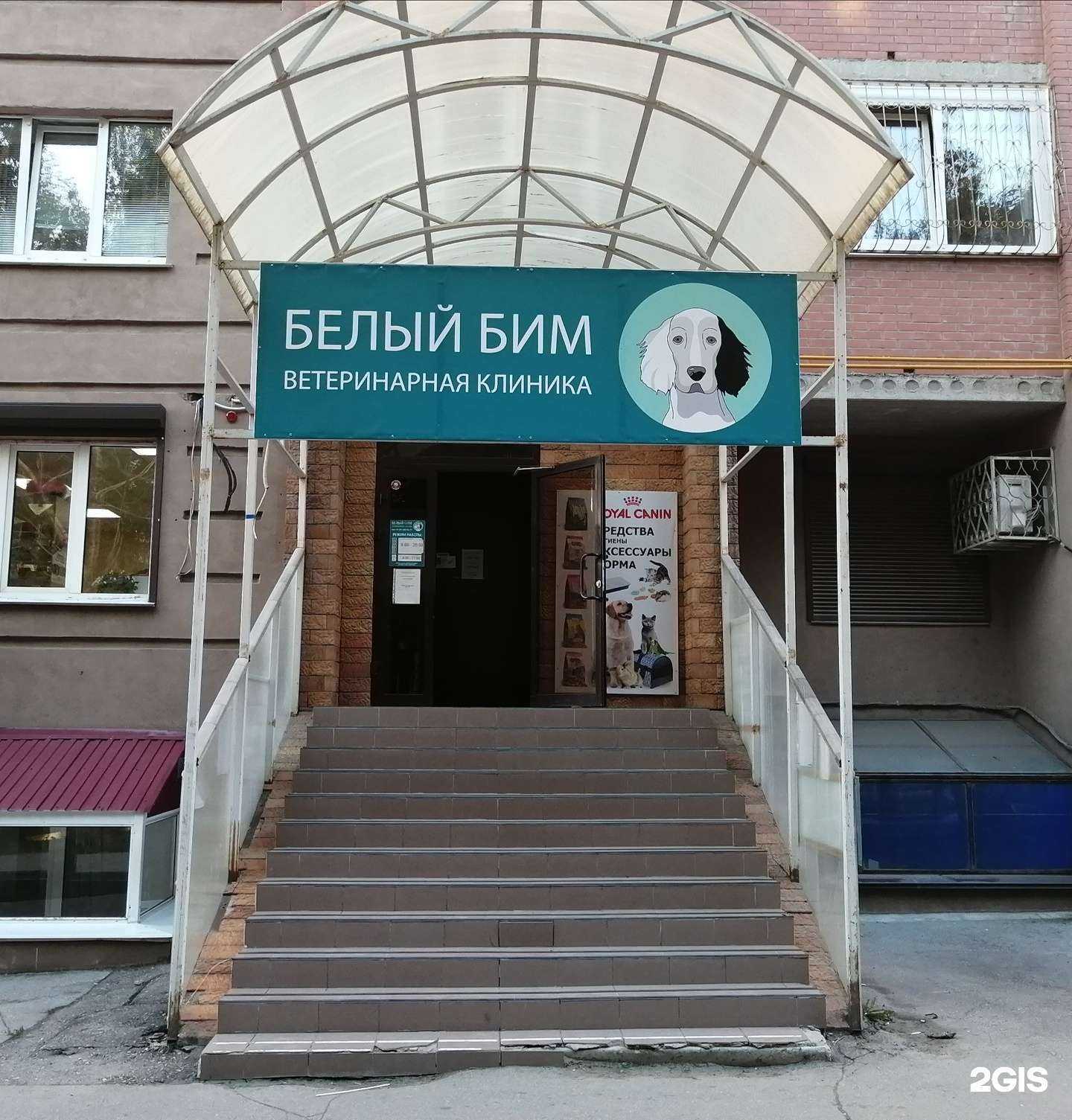 Отзывы на компанию Белый Бим в г. Самара c фото