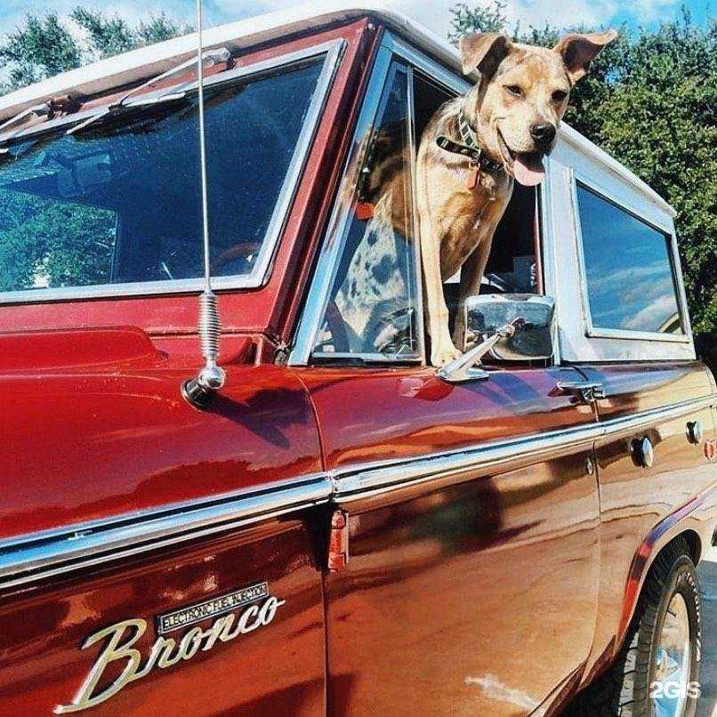 Отзывы на компанию ОСАГО-Сервис в Новокузнецке c фото