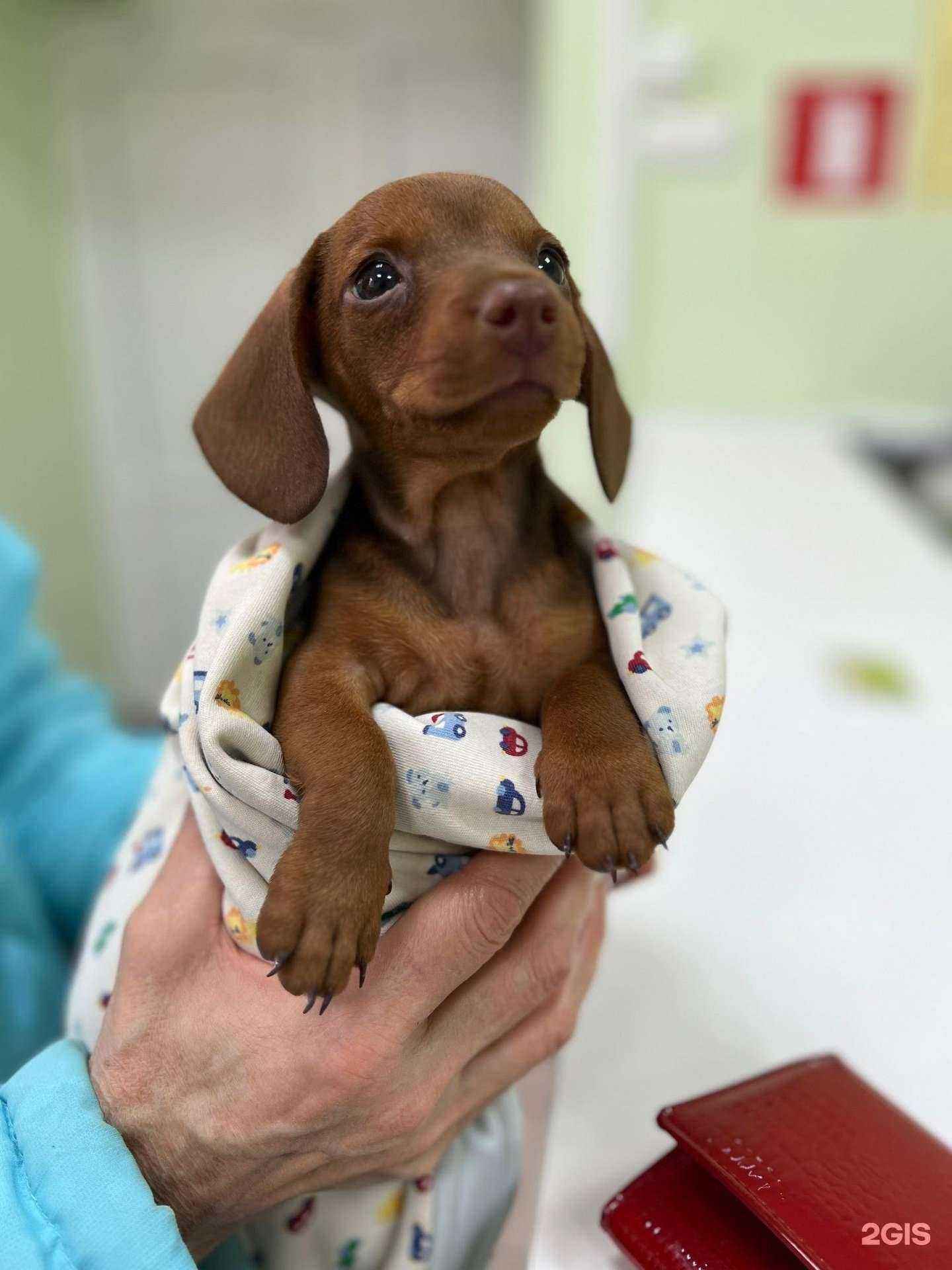 Отзывы на компанию Неболит в г. Самара c фото