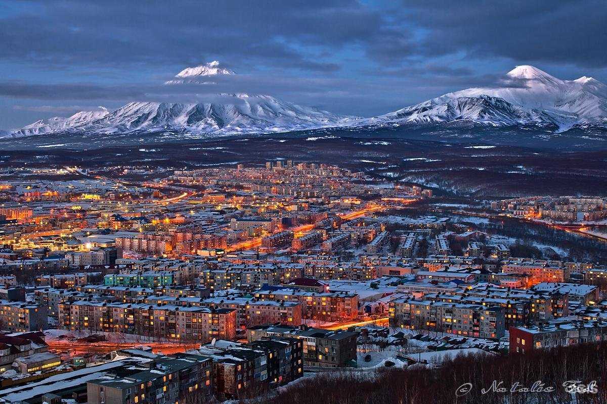 Отзывы на компанию Дальморепродукт в Новосибирске c фото