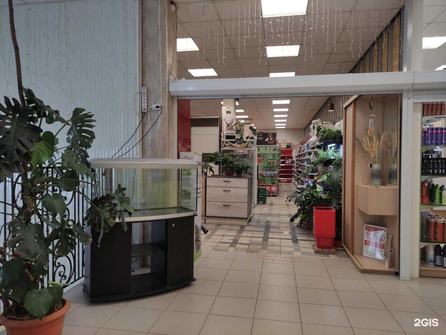 Отзывы на компанию Друзья в Химках c фото