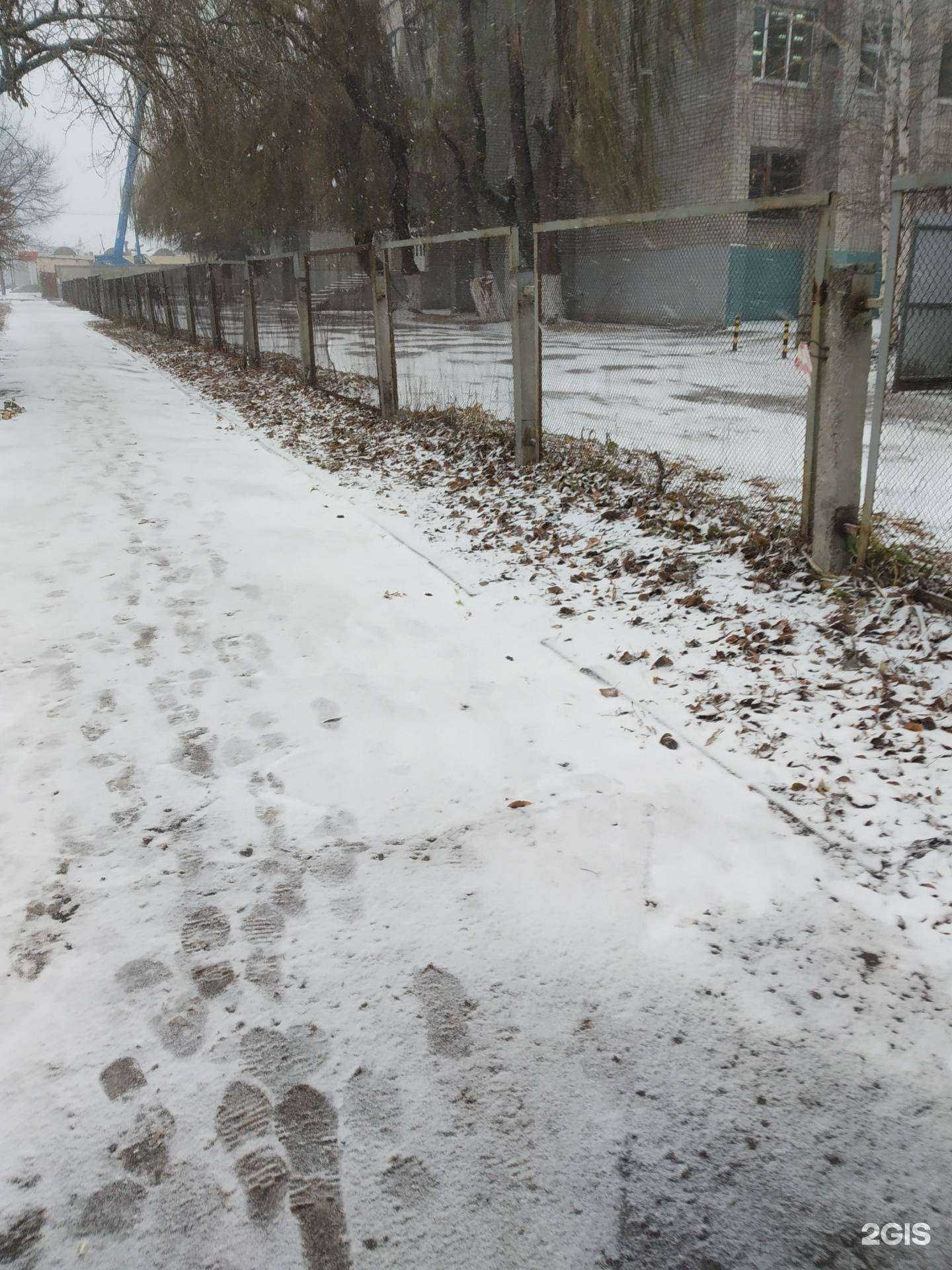 Отзывы на компанию Средняя школа №5 в Тамбове c фото