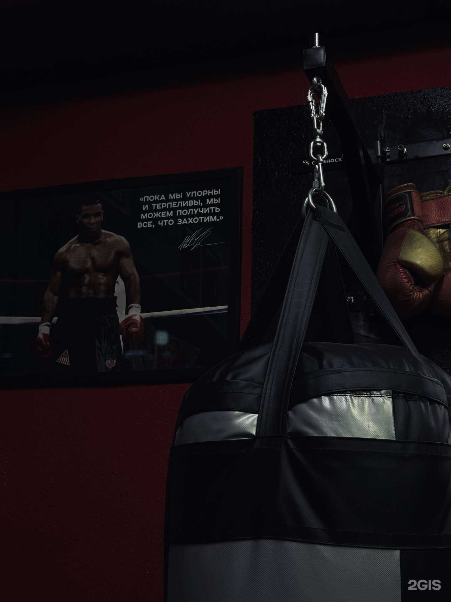Отзывы на компанию Боксёрский клуб в Екатеринбурге c фото