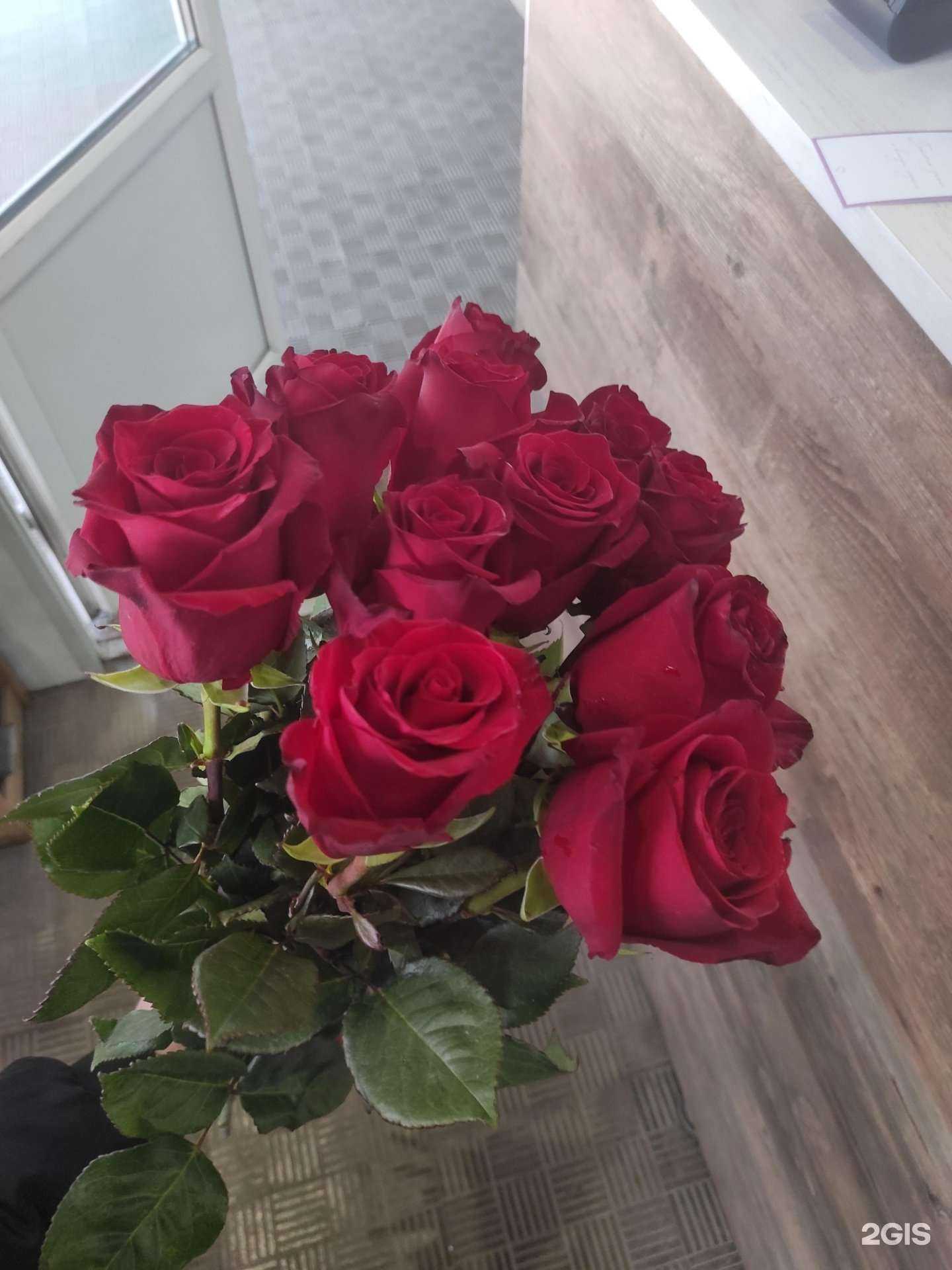 Отзывы на компанию Пион в Оренбурге c фото