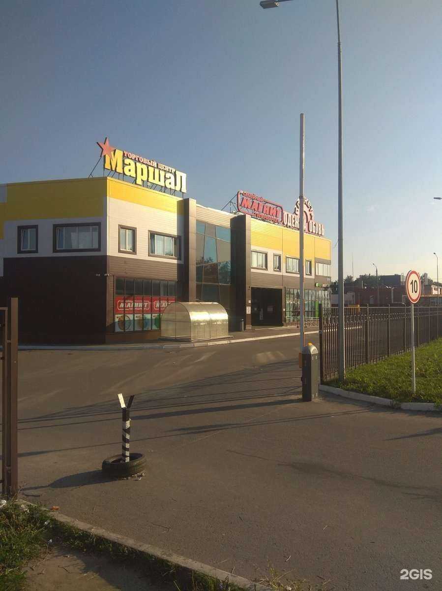 Отзывы на компанию Магнит Семейный в Туле c фото