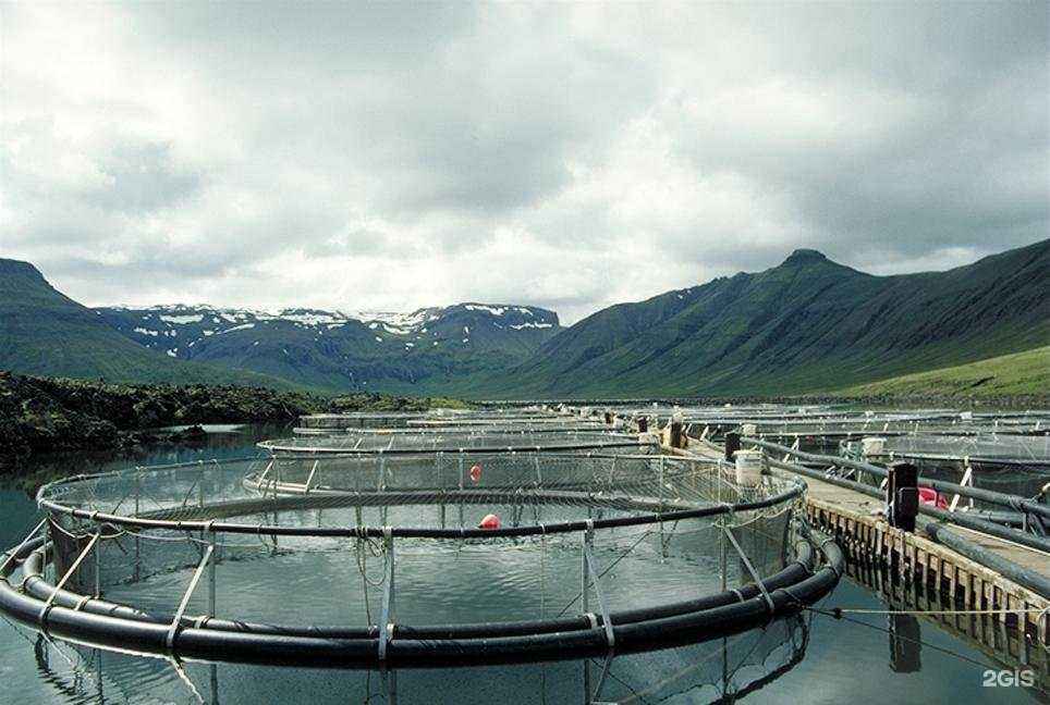 Отзывы на компанию Прямая Япония в Владивостоке c фото