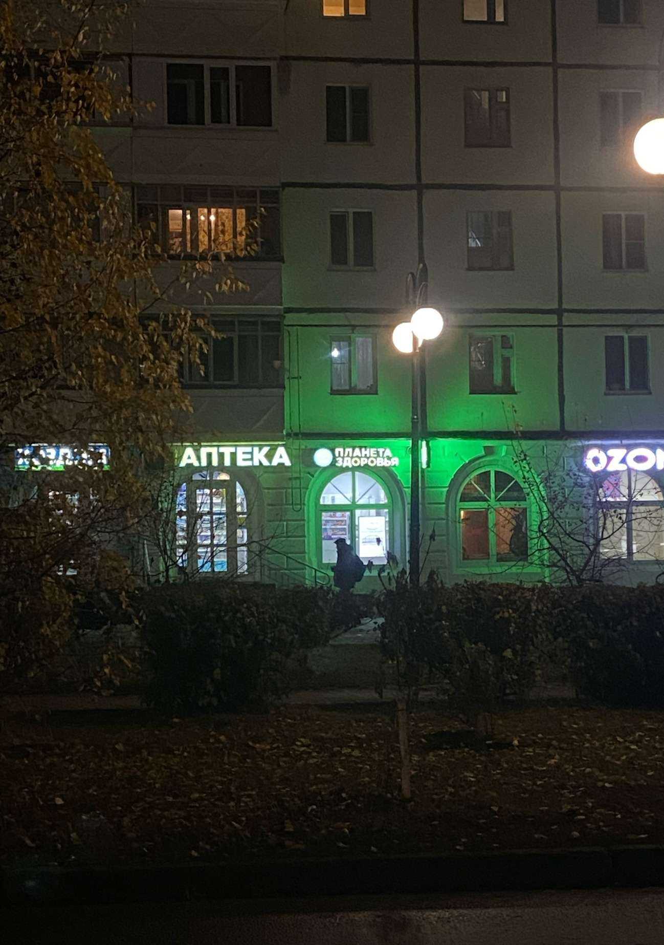 Отзывы на компанию Планета здоровья в г. Сыктывкар c фото