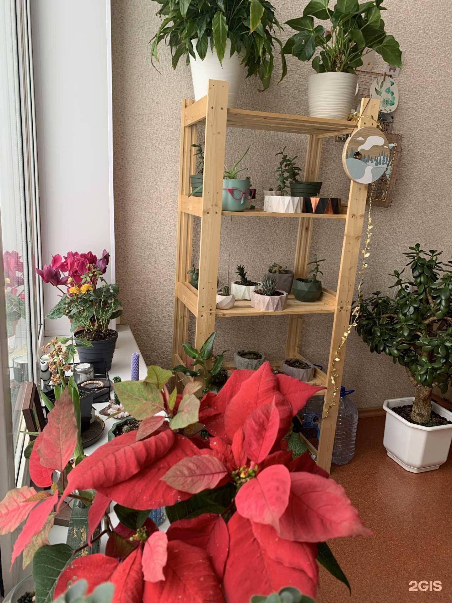 Отзывы на компанию Ногтевая студия в Брянске c фото