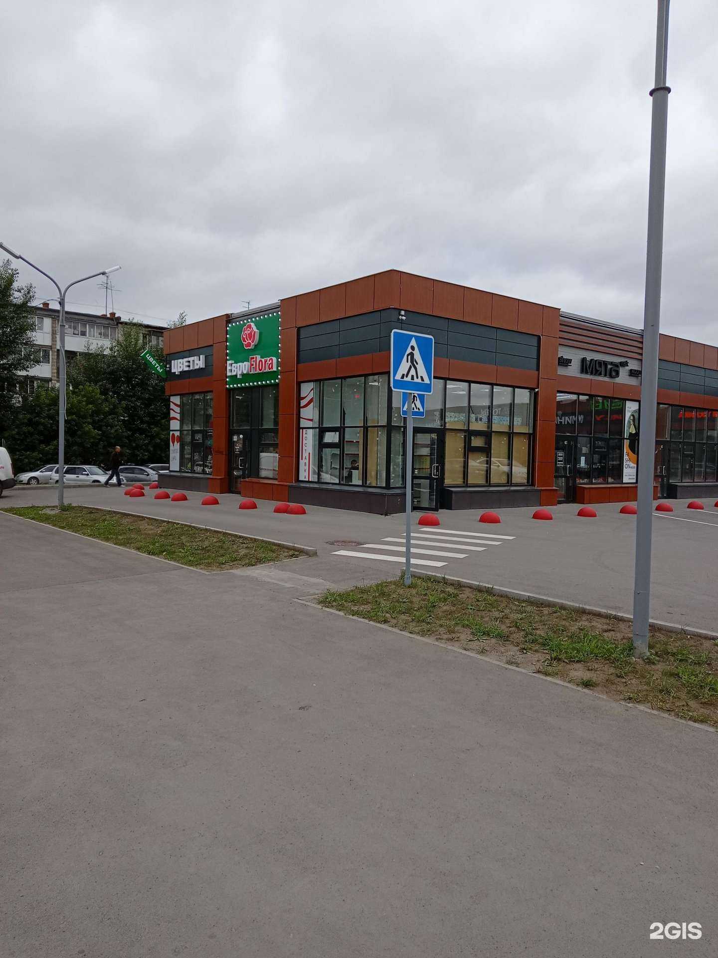 Отзывы на компанию Еврофлора в Новосибирске c фото