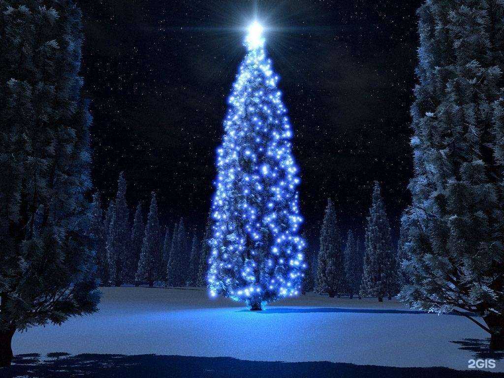 Отзывы на компанию Сибмаш в г. Курган c фото